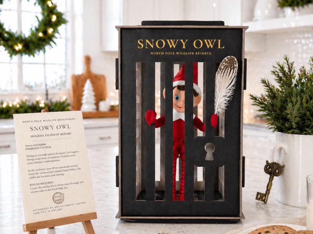 Christmas Elf Activity Kit - Snowy Owl Adventure